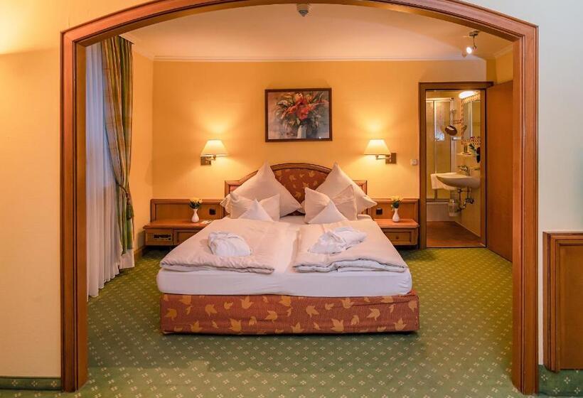 小型套房, Parkhotel Traunstein