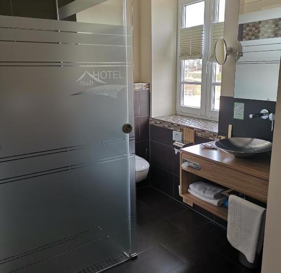 비즈니스룸, Stadt Steinheim