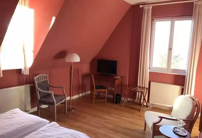 Standard-huone, Villa Viktoria Luise