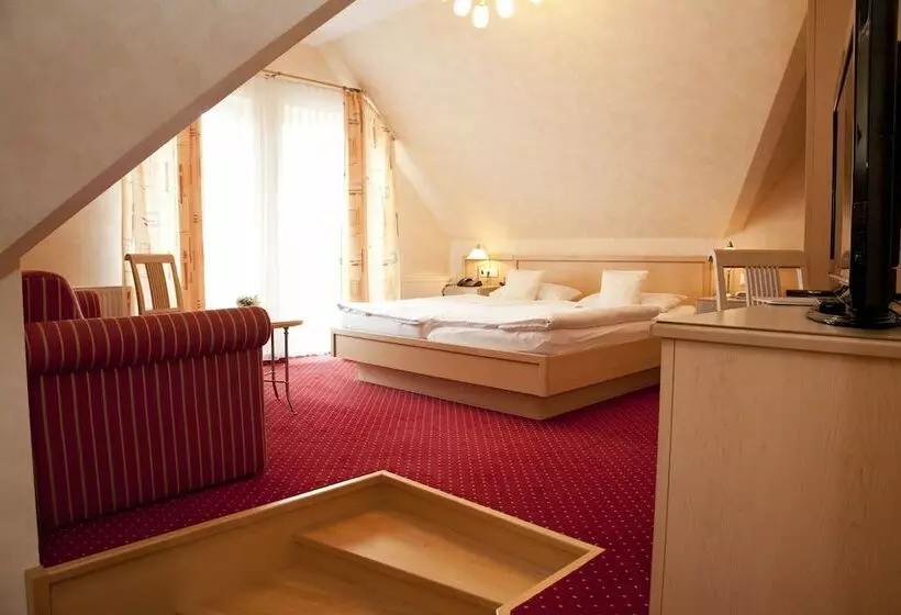 اتاق استاندارد با چشمانداز, Wald Hotel Willingen