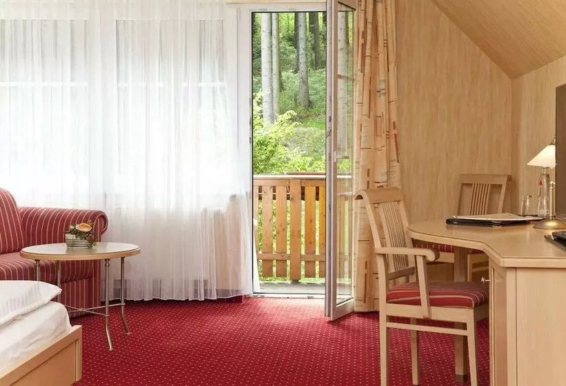 اتاق استاندارد با چشمانداز, Wald Hotel Willingen