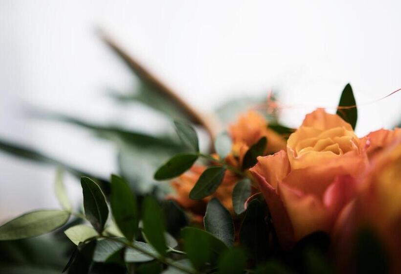 标准间, Zum Eisenhammer