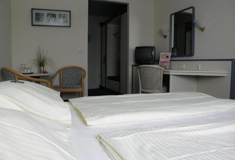 Номер Стандарт Индивидуальный, Parkhotel Schotten