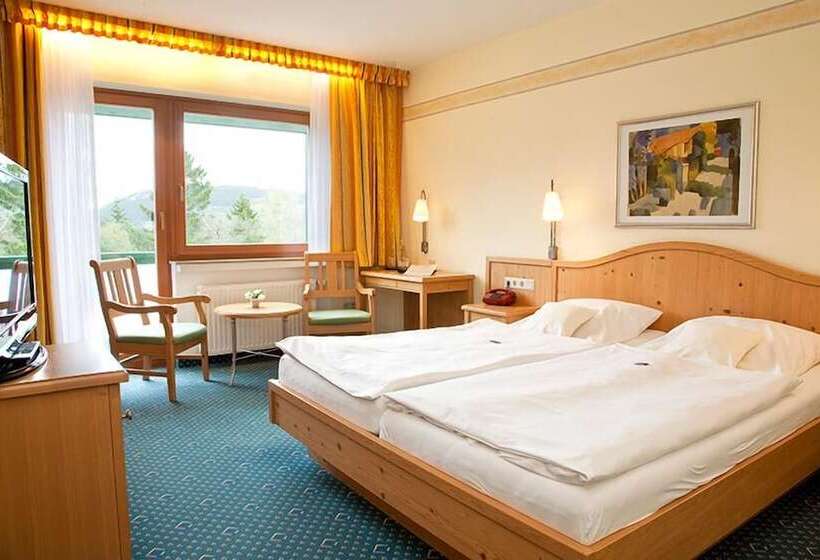 Номер Стандартный с Видом, Wald Hotel Willingen