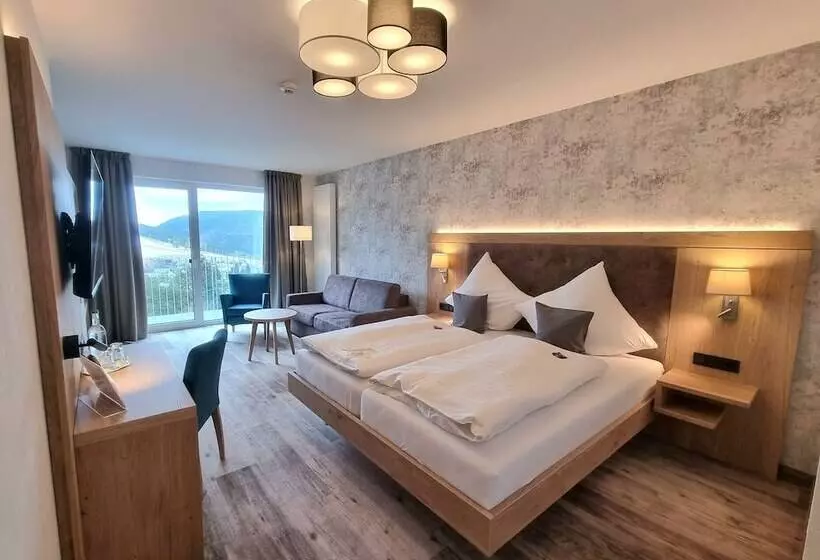 اتاق استاندارد با چشمانداز, Wald Hotel Willingen