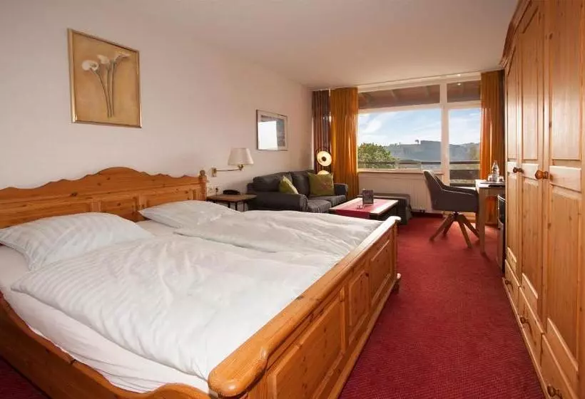 スタンダードルーム, Berghotel Habbel Und Die Welt Kann Warten
