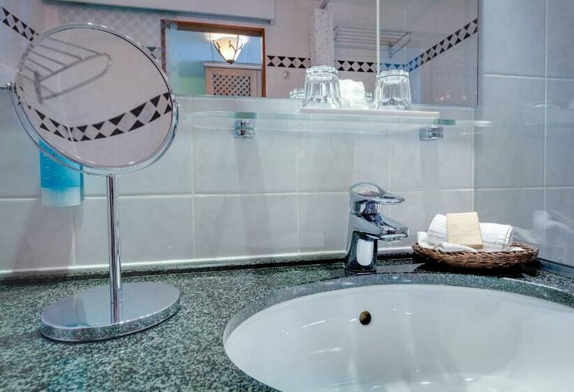 コンフォートシングルルーム, Gasthaus Zum Schwan