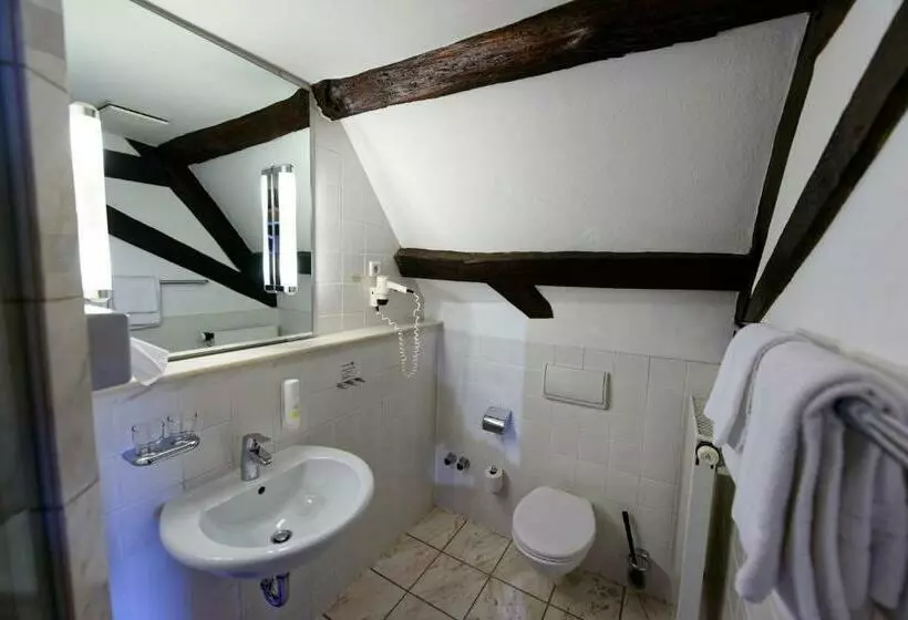 Standard Yhden Hengen Huone, Salischer Hof