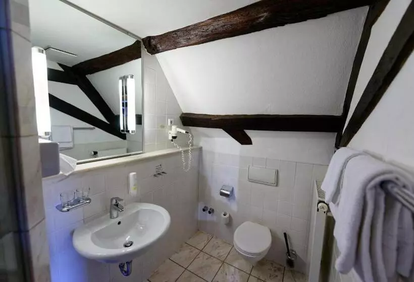 Standard-huone, Salischer Hof