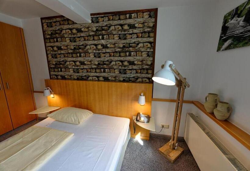 标准单人间, Salischer Hof