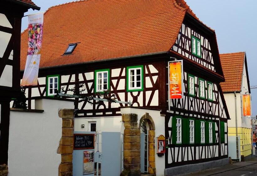 标准单人间, Salischer Hof