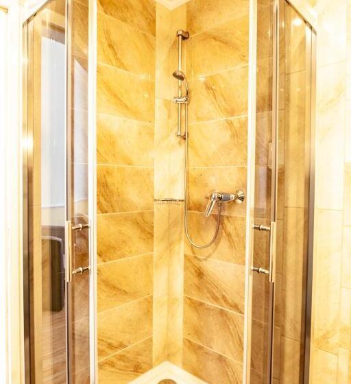 Номер Стандарт, Silesia