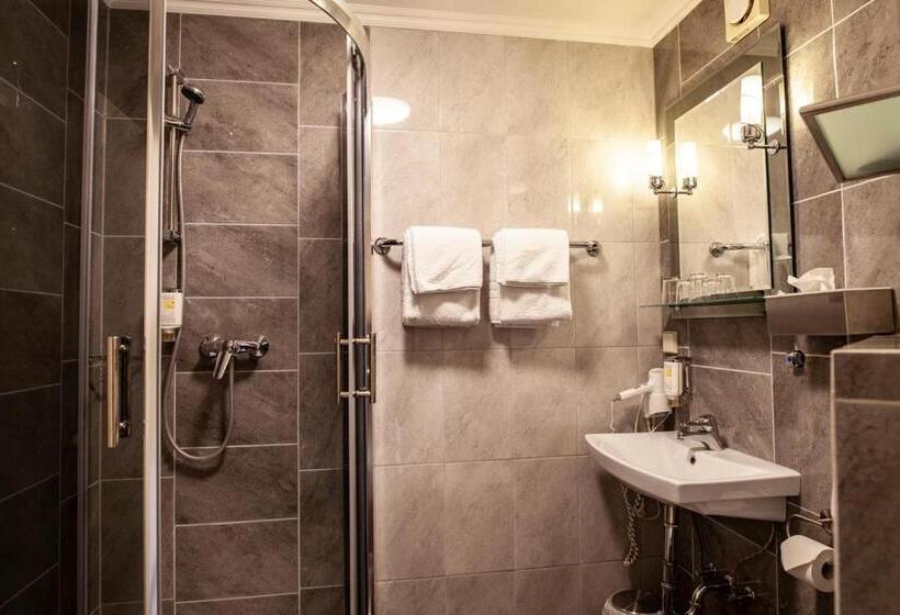 Номер Стандарт Трехместный, Silesia