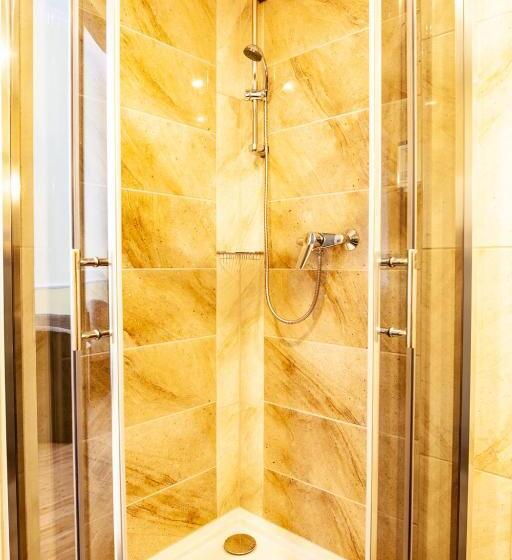 Номер Комфорт Индивидуальный, Silesia