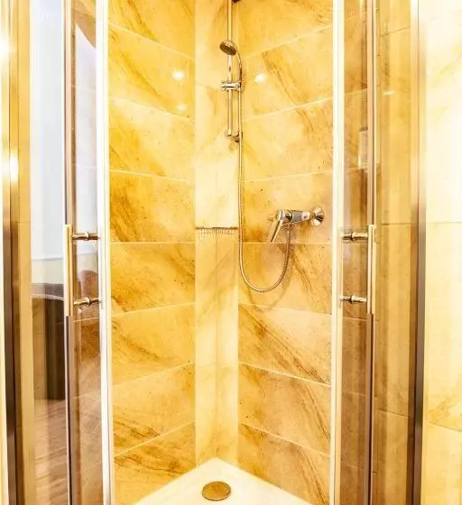 Comfort Single Room, Silesia