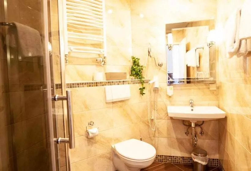 Comfort Single Room, Silesia