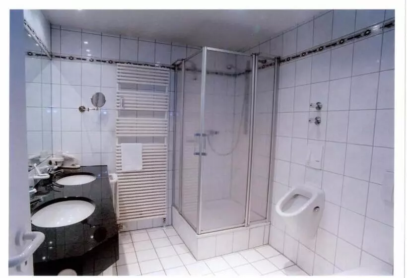Standard Yhden Hengen Huone, Wittlicher Hof