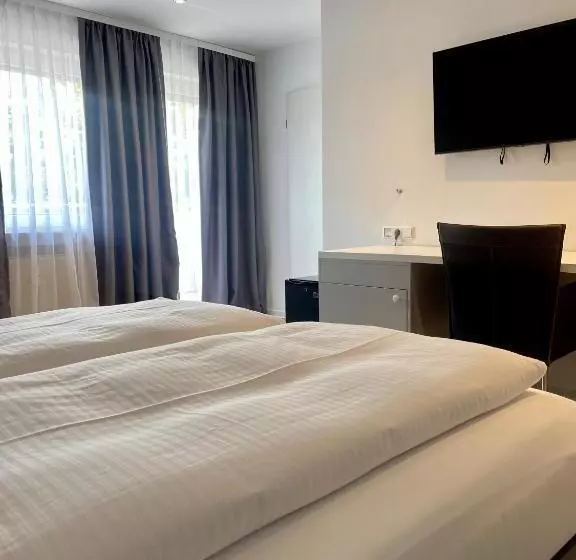 Standard-huone, Wittlicher Hof