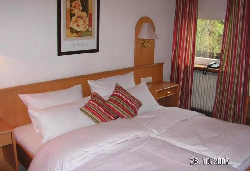 スタンダードシングルルーム, Landgasthof & Hotel Zum Schwan Gmbh