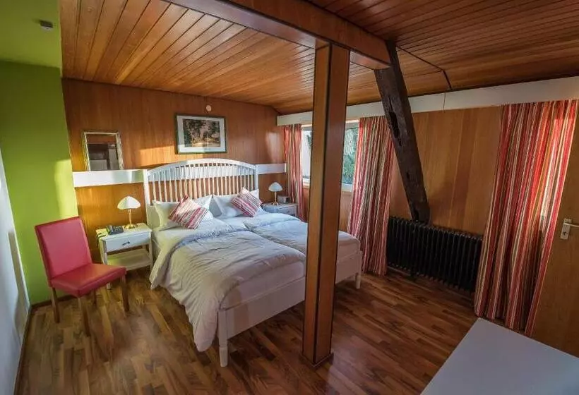 スタンダードルーム, Landgasthof & Hotel Zum Schwan Gmbh