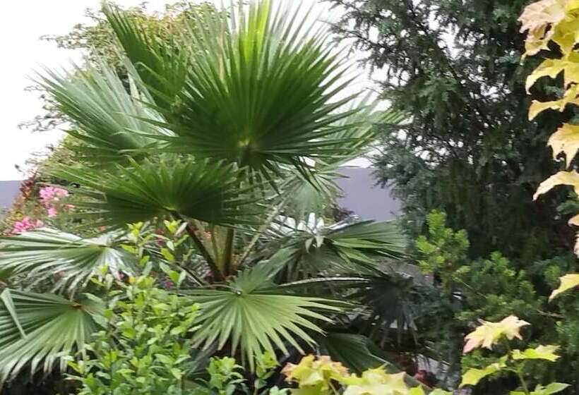 家庭间, Restaurant Landhaus Rebstock