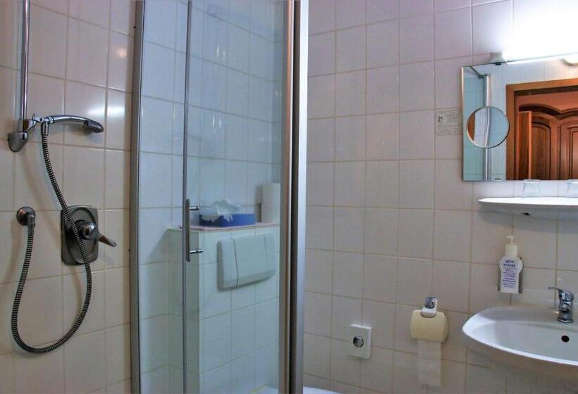 חדר סטנדרט יחיד, Historisches Landhotel Studentenmuehle