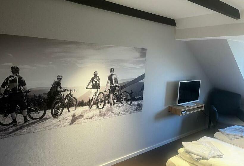 Номер Стандарт, Berghotel Pöhlberg