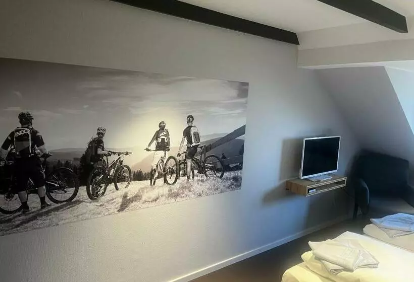 Standard-huone, Berghotel Pöhlberg