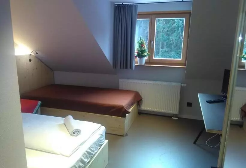 Standard Yhden Hengen Huone, Berghotel Pöhlberg