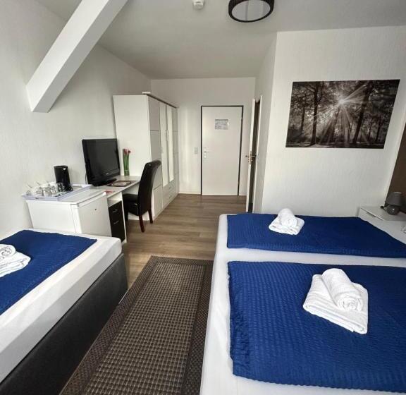 Номер Стандарт Трехместный, Hasselberg