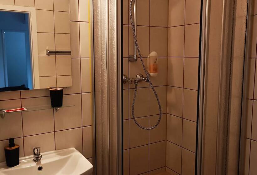 Номер Economy Индивидуальный, Hasselberg