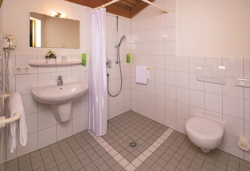 غرفة قياسية فردية, Hohenwart Forum