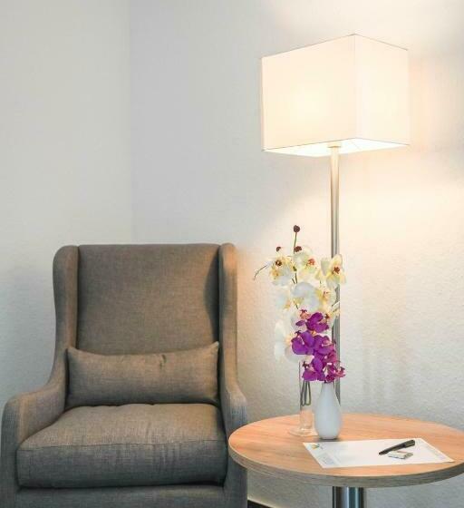 舒适型单人间, Novostar