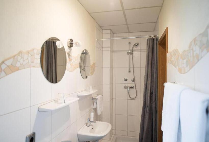 スタンダードルーム, Rheinauer Hof   Bed & Breakfast