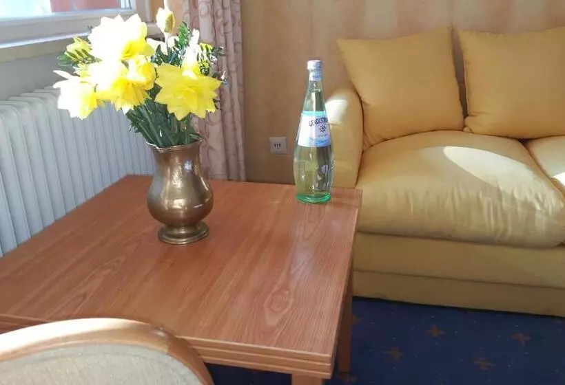 Standard Single Room with Balcony, Scholz