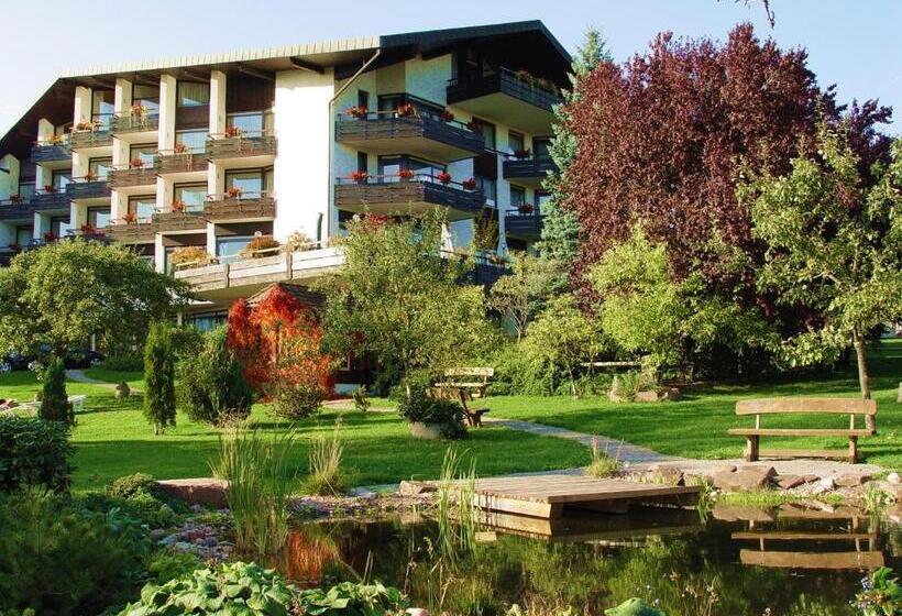 اتاق استاندارد, Schwanen Kälberbronn