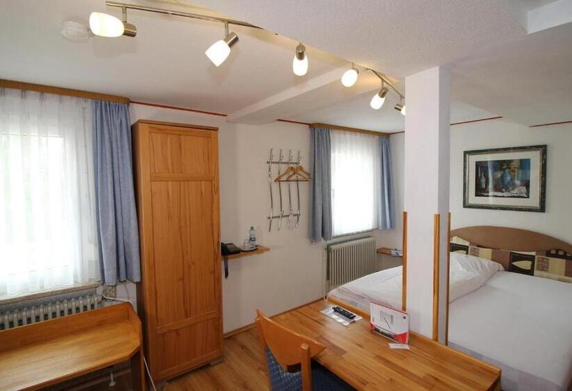 חדר סטנדרט לשלושה, Venezia