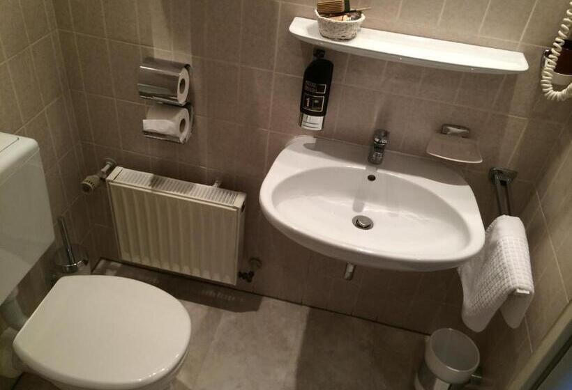 스탠다드 싱글 룸, Zum Rosengarten