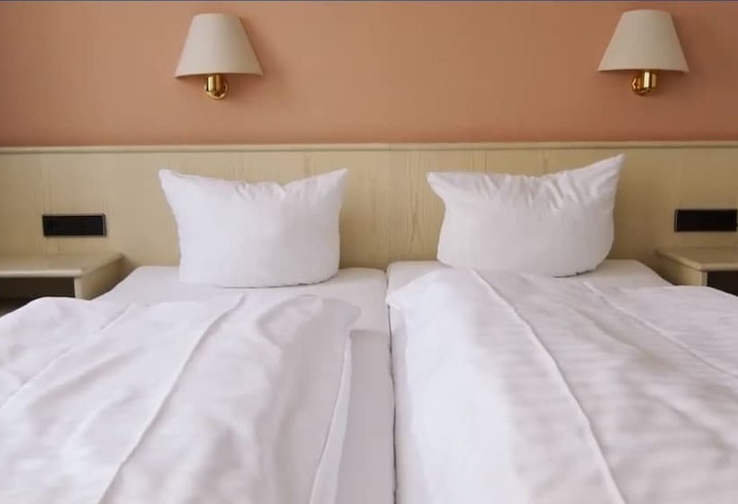 스탠다드 룸, Zum Treuen Bartel