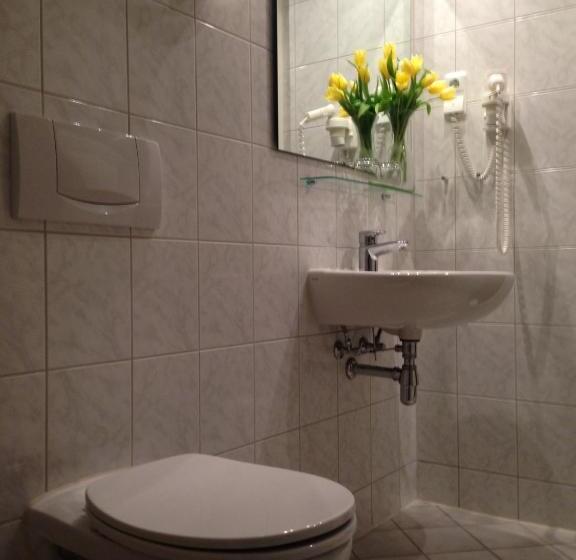 스탠다드 싱글 룸, Landhaus Lockwitzgrund