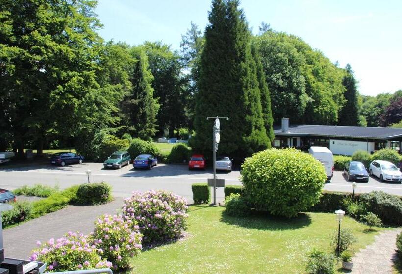 Номер Стандарт, Parkhotel Framke