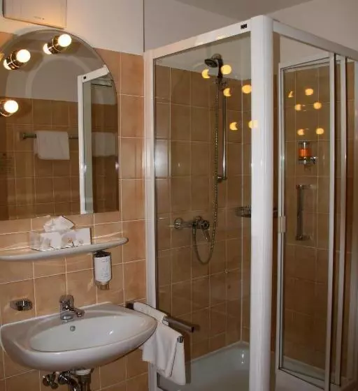Standard-huone, Stadt Hotel Lörrach Gbr