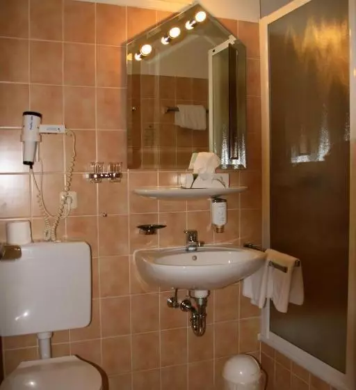 Standard Yhden Hengen Huone, Stadt Hotel Lörrach Gbr