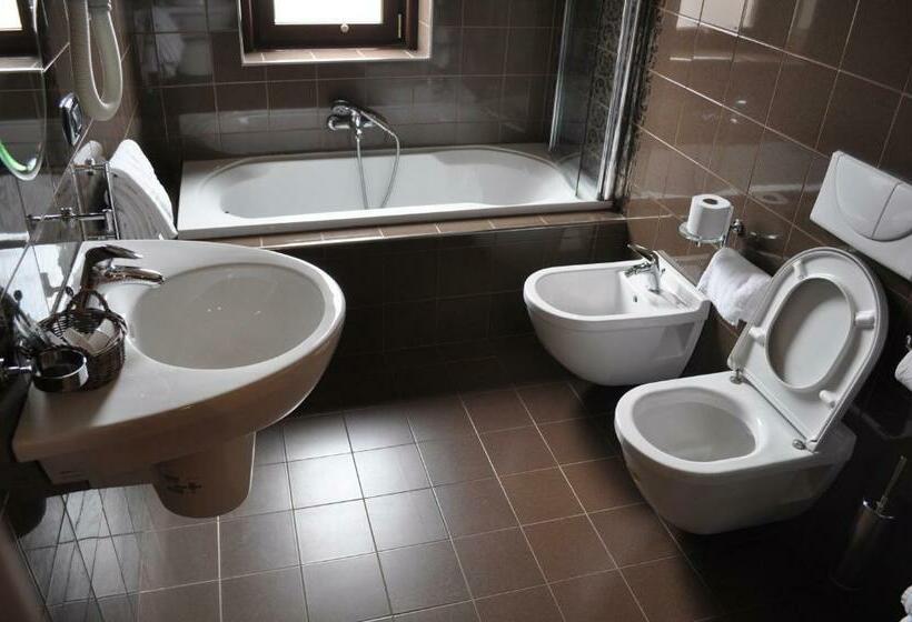 Номер Стандарт Индивидуальный, Aerhotel Phelipe