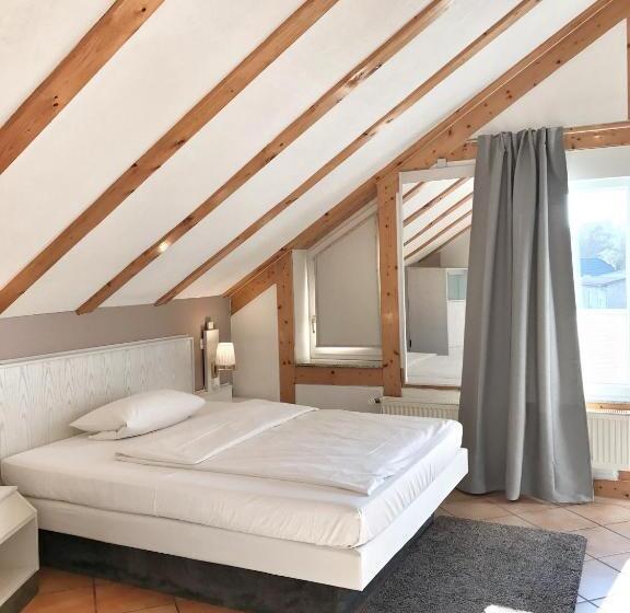 스탠다드 싱글 룸, Aparthotel Wettenberg