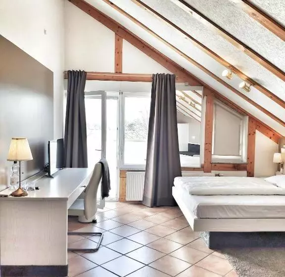 اتاق استاندارد یک نفره, Aparthotel Wettenberg