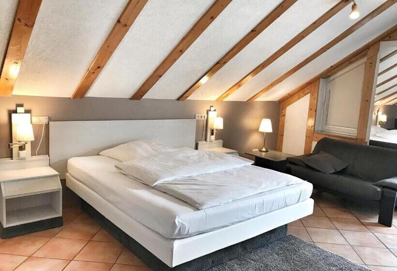 스탠다드 룸, Aparthotel Wettenberg