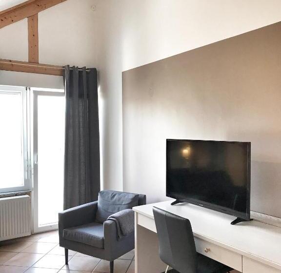 스탠다드 룸, Aparthotel Wettenberg