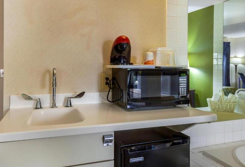 جناح سرير كينج, Econo Lodge Inn & Suites