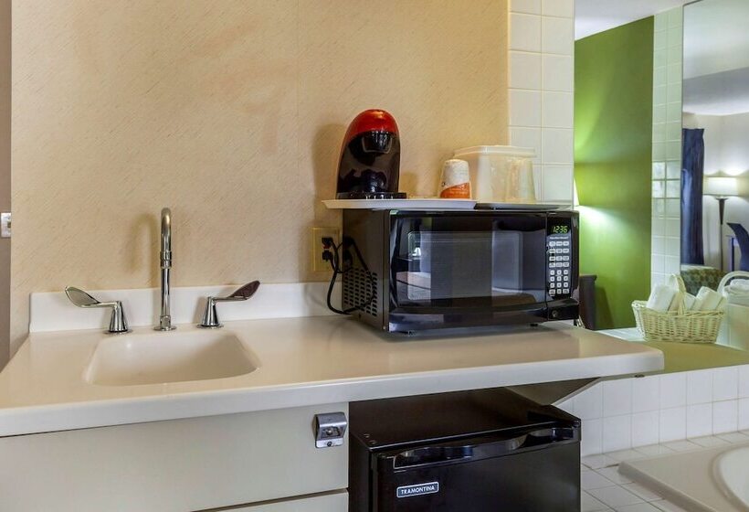 جناح لذوى الاحتياجات الخاصة, Econo Lodge Inn & Suites